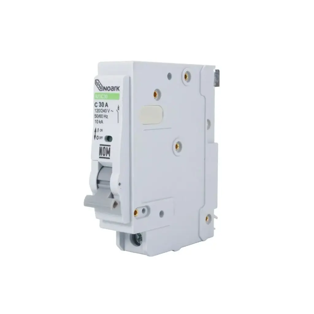 INT TERMO 1X30 IUSA BLANCO PLUG
