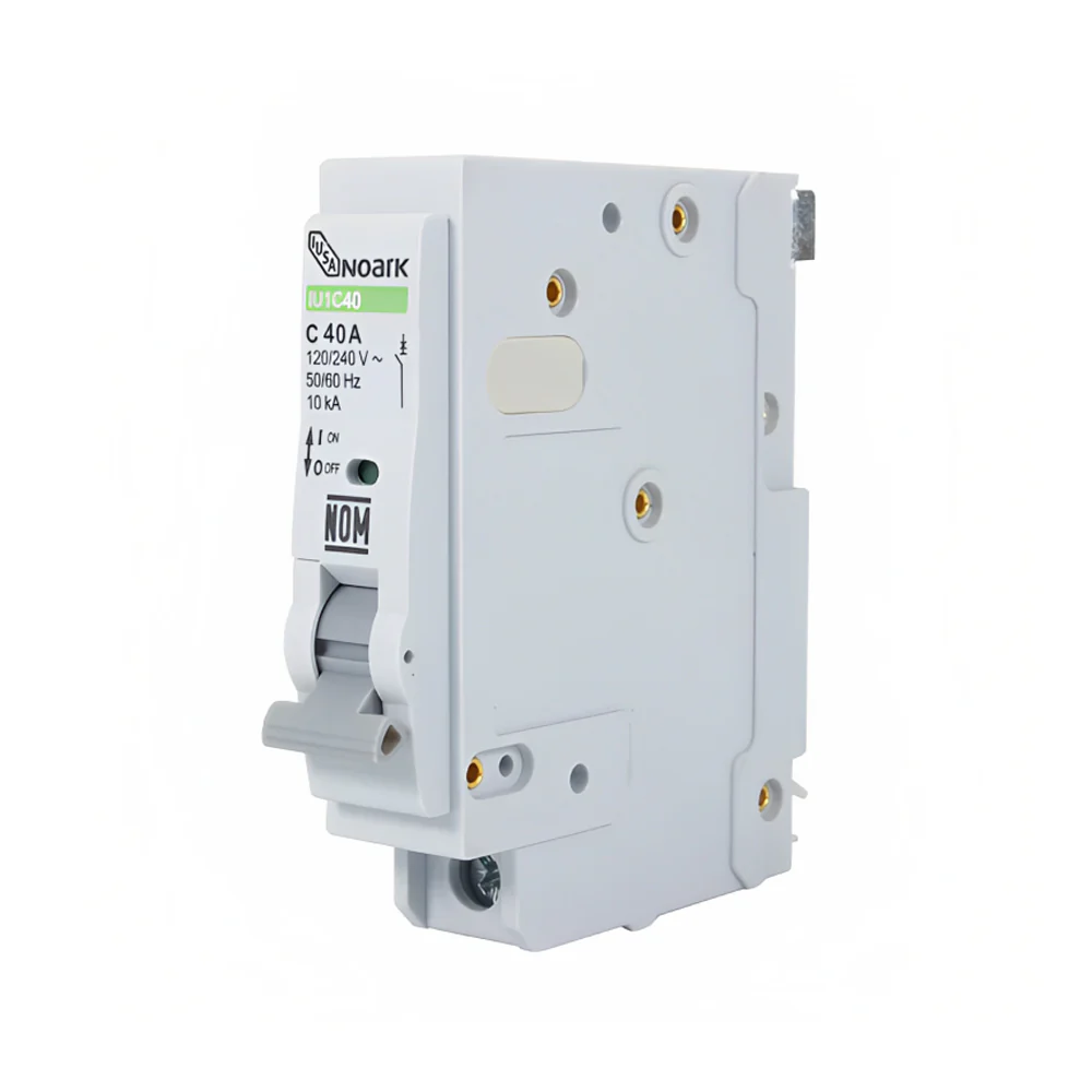 INT TERMO 1X40 PLUG IUSA