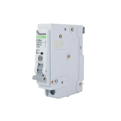 INT TERMO 1X30 IUSA BLANCO PLUG