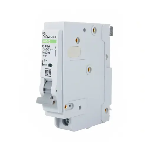 INT TERMO 1X40 PLUG IUSA