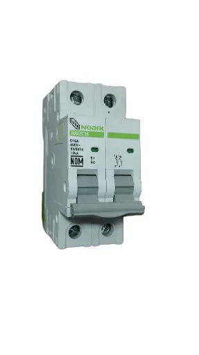 INT TERMO 2X16 RIEL IUSA